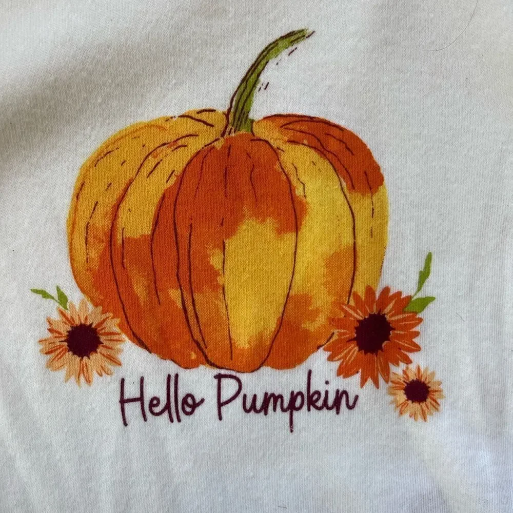 Baby Essentials Baby Girls Hello Pumpkin Bodysuit Set Size 6 Months NWT